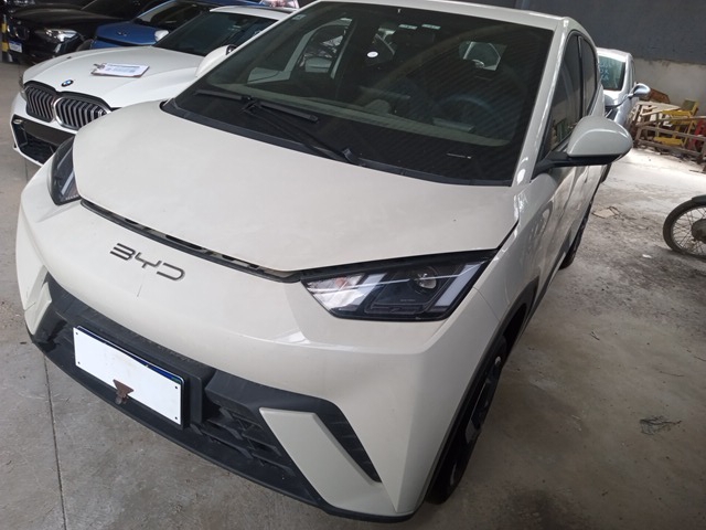LOTE 18 BYD DOLPHIN MINI GS EV 2023/2024 