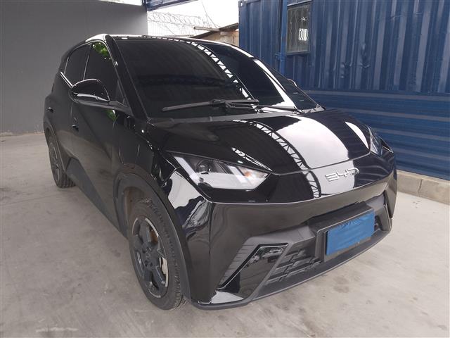 LOTE 20 BYD DOLPHIN MINI GS EV 2023/2024