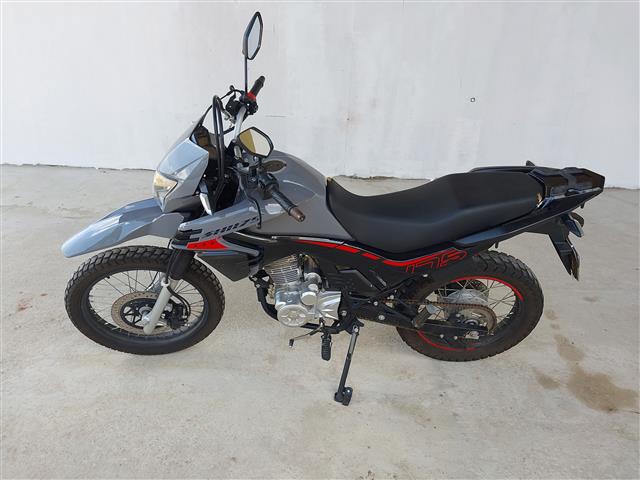 LOTE 14 SHI 175 2024/2024 GASOLINA 
