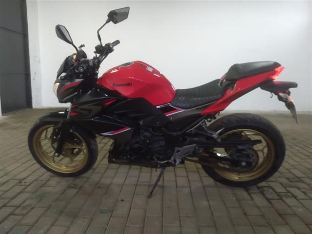 LOTE 18 Z300 ABS 2017/2018 